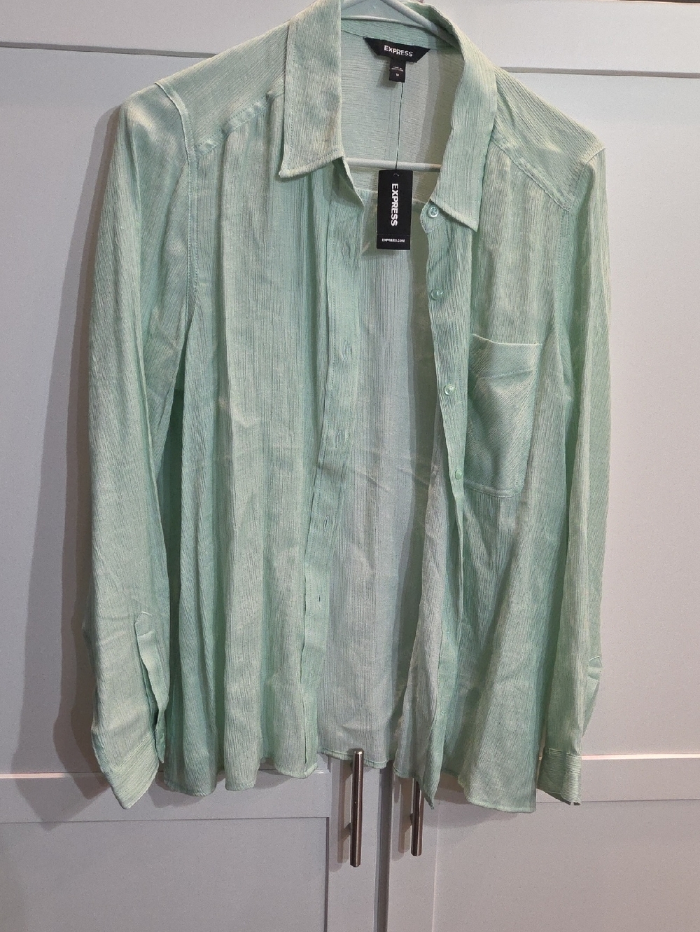 Express Womens Mint Green Lightweight Shirt